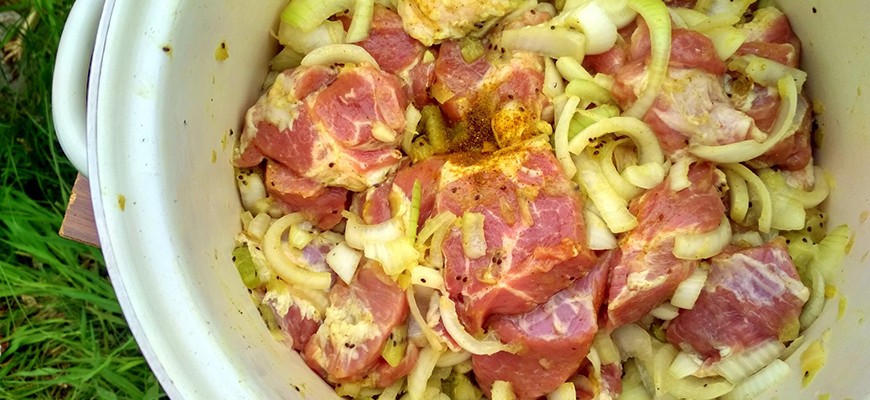 Маринад с киви, луком и чесноком для шашлыка из свинины